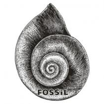 fossil