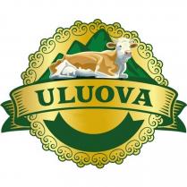 uluova