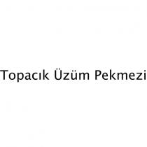 topacık üzüm pekmezi