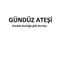 gündüz ateşi kovada durduğu gibi durmaz