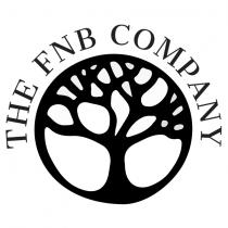 the fnb company