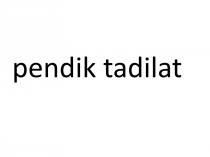 pendik tadilat
