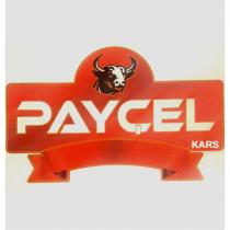 payçel kars