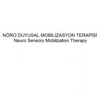nöro duyusal mobilizasyon terapisi neuro sensory mobilization therapy