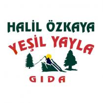 halil özkaya yeşil yayla gıda