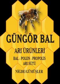 güngör bal arı ürünleri bal-polen-propolis-arı sütü niğde/gümüşler
