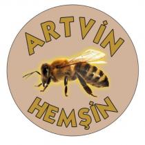 artvin hemşin