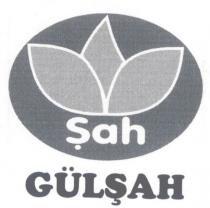 şah gülşah