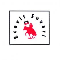 ecevit süvari