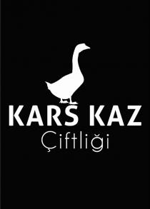 kars kaz çiftliği