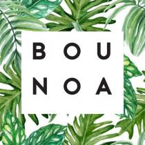 bou noa