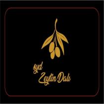 syd zeytin dalı
