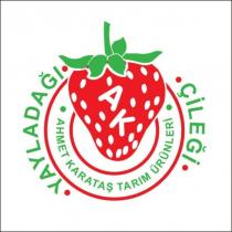 ahmet karataş tarım ürünleri yayladağı ak çileği