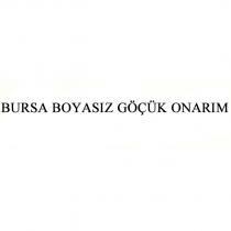 bursa boyasız göçük onarım