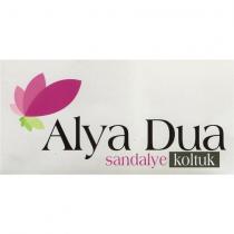 alya dua sandalye koltuk