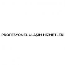 profesyonel ulaşım hizmetleri