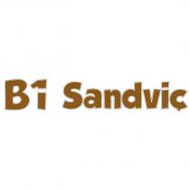 b1 sandviç