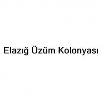elazığ üzüm kolonyası