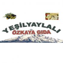 yeşilyaylalı özkaya gıda