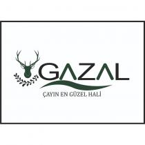 gazal çayın en güzel hali