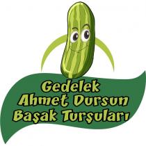 gedelek ahmet dursun başak turşuları