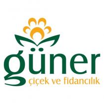 güner çiçek ve fidancılık