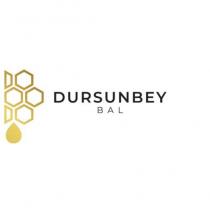 dursunbey bal