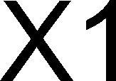 x1