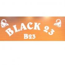 black23 b23