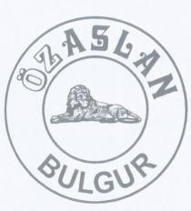 özaslan bulgur