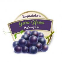 kapadokya gara üzüm kolonyası