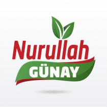 nurullah günay