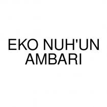 eko nuh'un ambarı