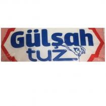 gülşah tuz