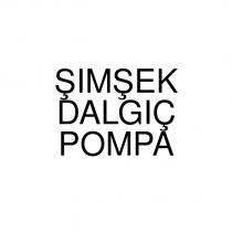 şimşek dalgıç pompa
