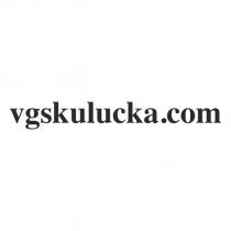 vgskulucka.com