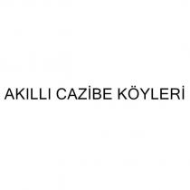 akıllı cazibe köyleri