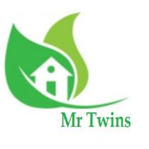 mr twins