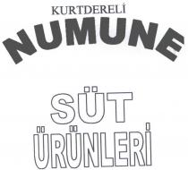 kurtdereli numune süt ürünleri