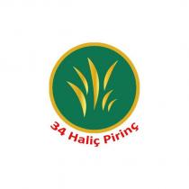 34 haliç pirinç