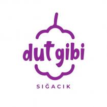 dut gibi sığacık