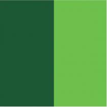Renk Markası Pantone 357C Pantone 360CC