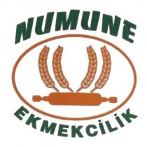 numune ekmekçilik