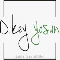 dikey yosun daima taze bitkiler