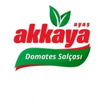 ayaş akkaya domates salçası