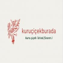 kuruçiçekburada kuru çiçek (dried flowers)