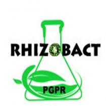 rhızobact pgpr