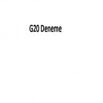 g20 deneme