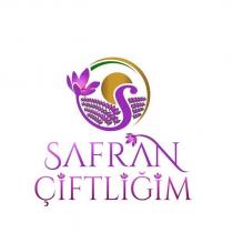 safran çiftliğim