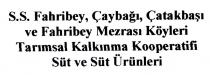s.s. fahribey çaybağı çatakbaşı ve fahribey mezrası köyleri